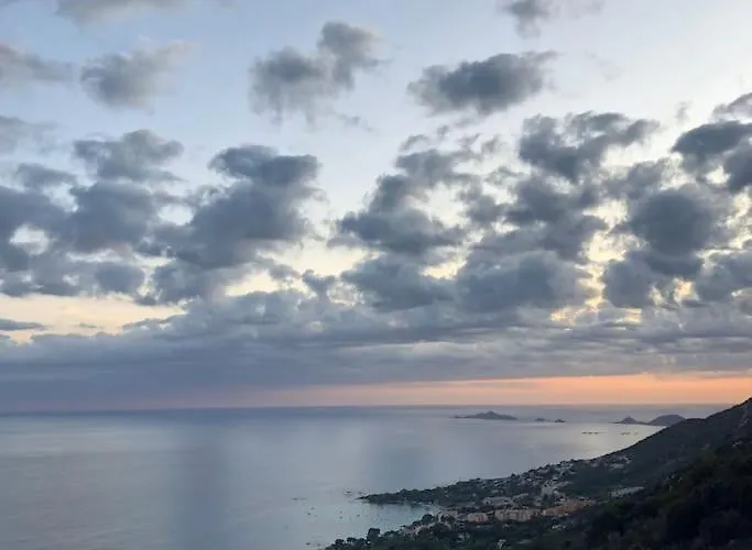 Appartement T1 Centre Carre D'or Proche *